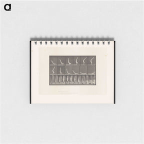 1-69_Eadweard-Muybridge_memo