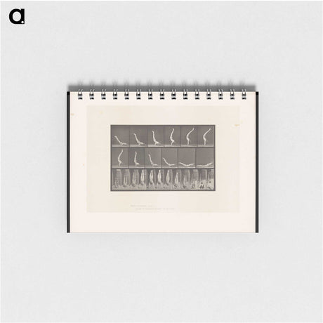 1-69_Eadweard-Muybridge_memo