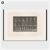 1-69_Eadweard-Muybridge_picture-crop