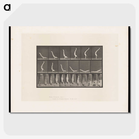 1-69_Eadweard-Muybridge_picture-crop