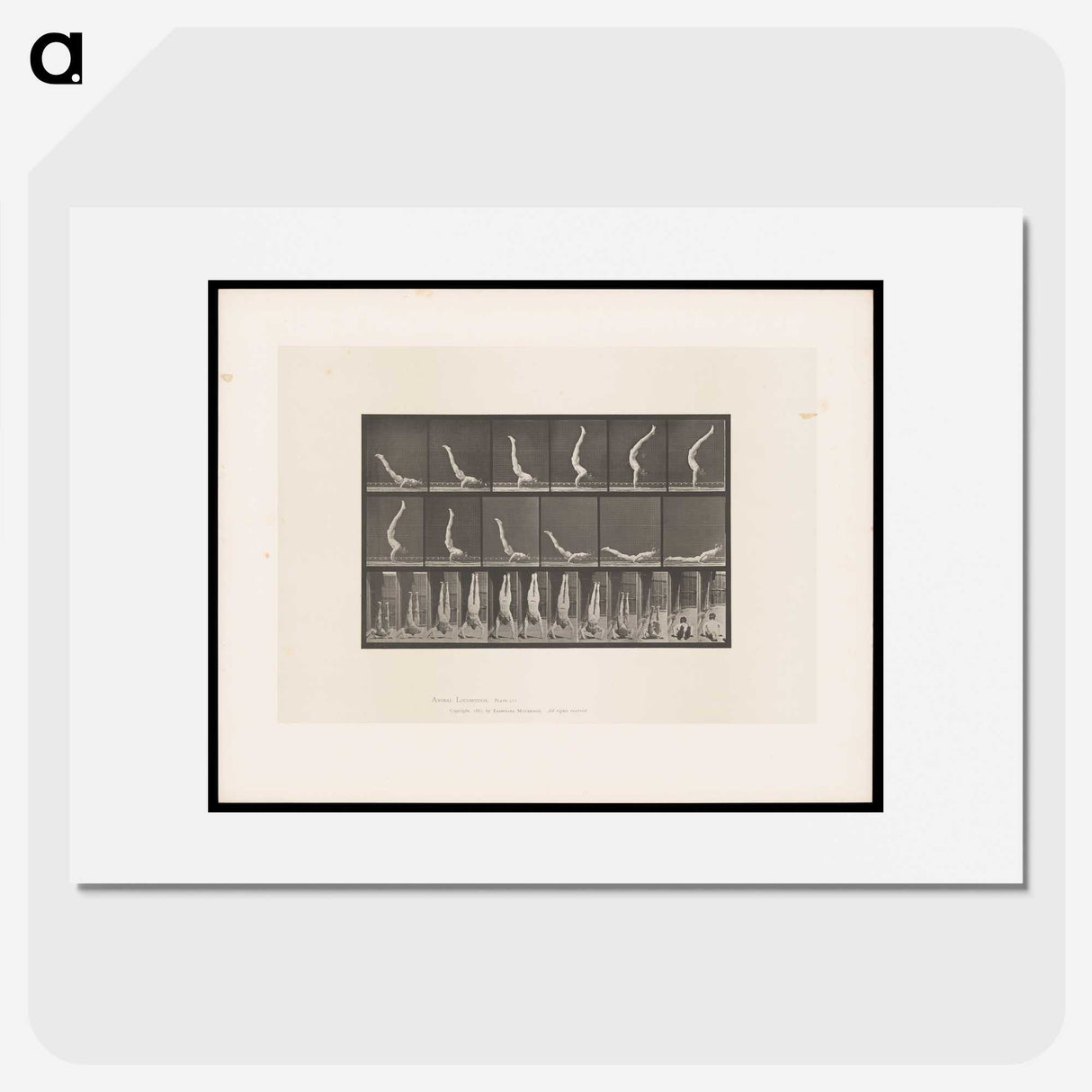 1-69_Eadweard-Muybridge_picture