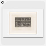 1-69_Eadweard-Muybridge_picture