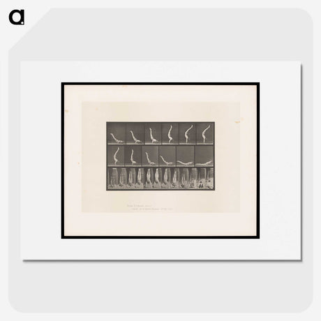 1-69_Eadweard-Muybridge_picture