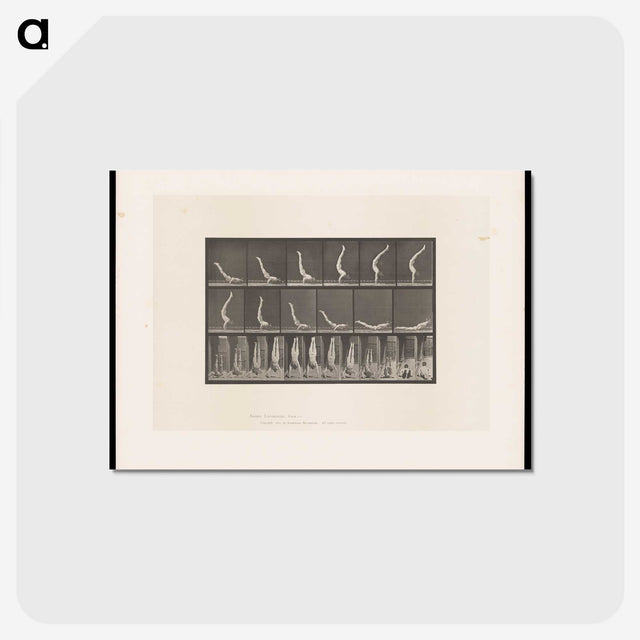1-69_Eadweard-Muybridge_postcard