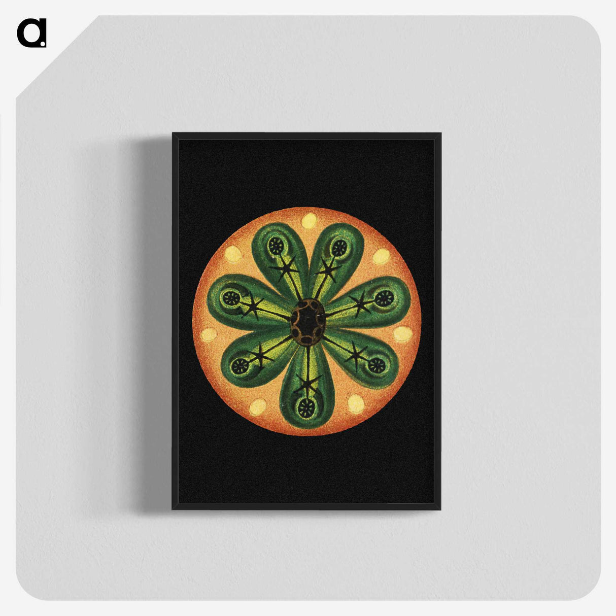 1-69_Ernst-Haeckel_blk-crop