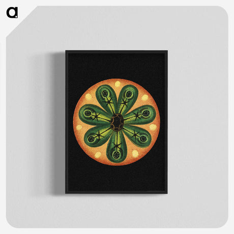 1-69_Ernst-Haeckel_blk-crop