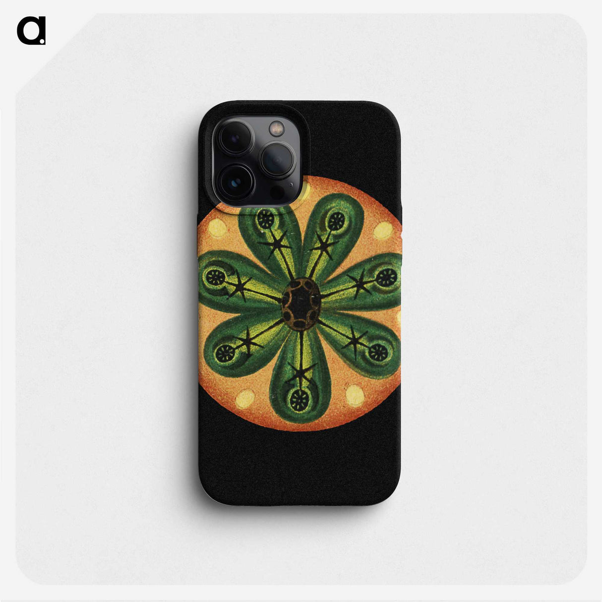 1-69_Ernst-Haeckel_phone