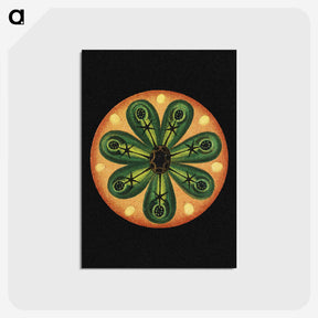 1-69_Ernst-Haeckel_postcard