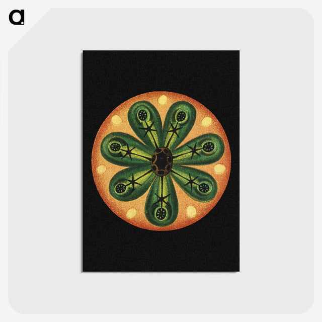 1-69_Ernst-Haeckel_postcard