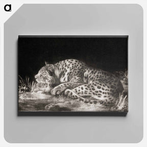 アートパネル-Sleeping Cheetah
 - ジョージ スタッブス Canvas.