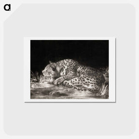 アートポストカード-Sleeping Cheetah
 - ジョージ スタッブス Postcard.