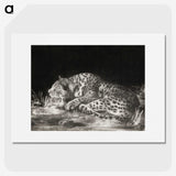 1-69_George-Stubbs_picture