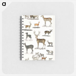アートメモ帳-Antlered Animals
 - ゴールドスミスの生き生きとした自然 Memo.