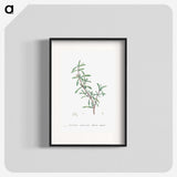 1-69_Histoire-des-Plantes-Grasses_blk