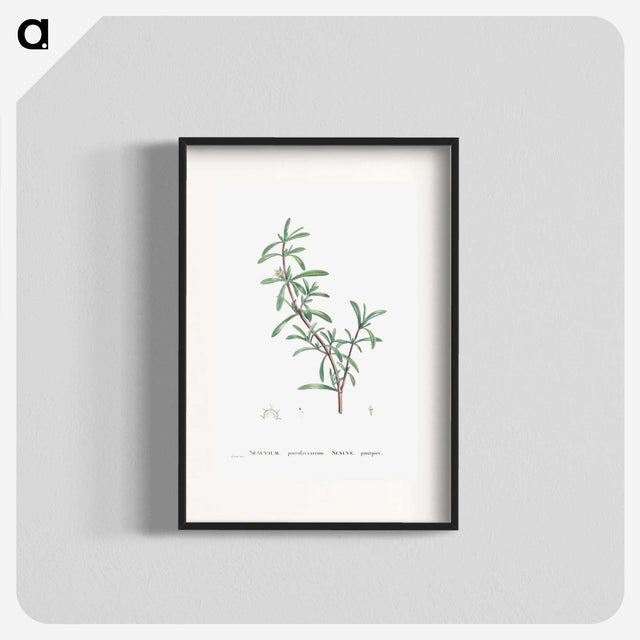 1-69_Histoire-des-Plantes-Grasses_blk