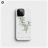 1-69_Histoire-des-Plantes-Grasses_phone