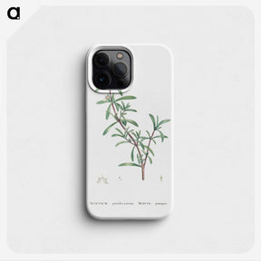 1-69_Histoire-des-Plantes-Grasses_phone