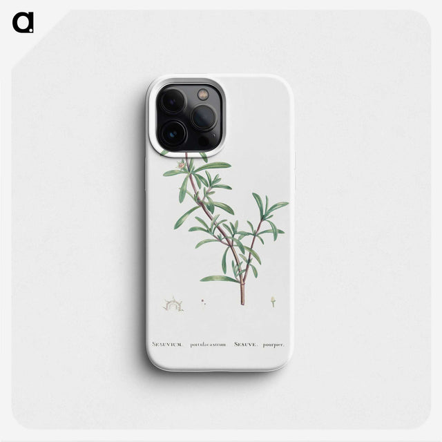1-69_Histoire-des-Plantes-Grasses_phone
