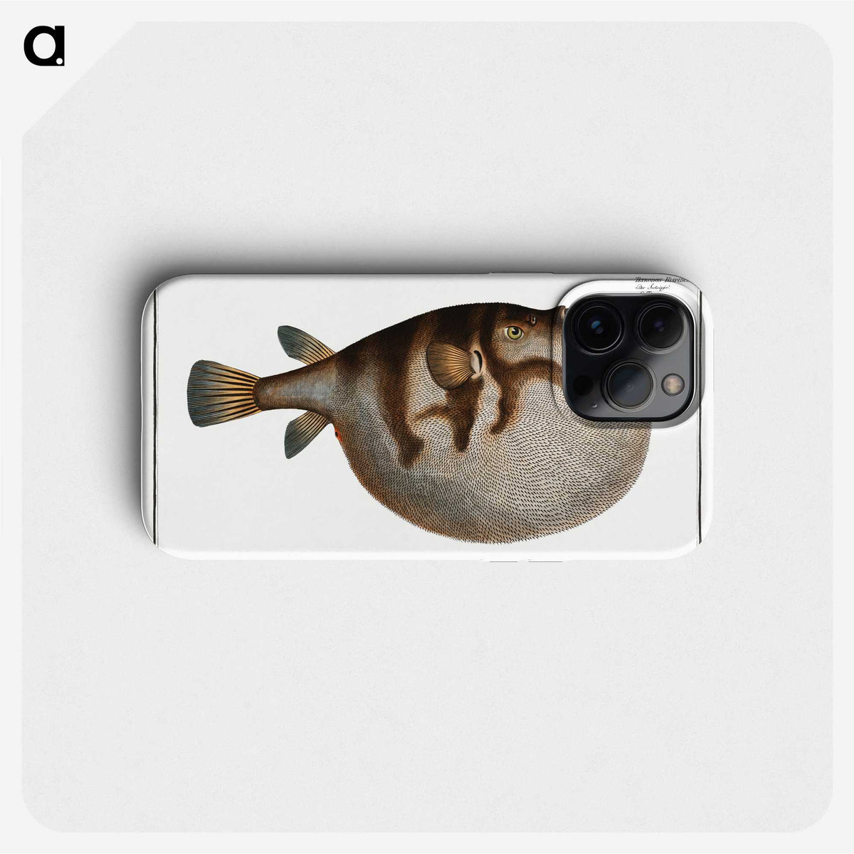 1-69_Ichtyologie-ou-Histoire-naturelle_phone