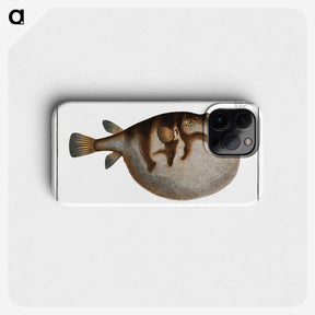 1-69_Ichtyologie-ou-Histoire-naturelle_phone