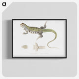 1-69_Indian-Zoology_blk-crop