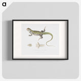 1-69_Indian-Zoology_blk