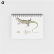 1-69_Indian-Zoology_memo