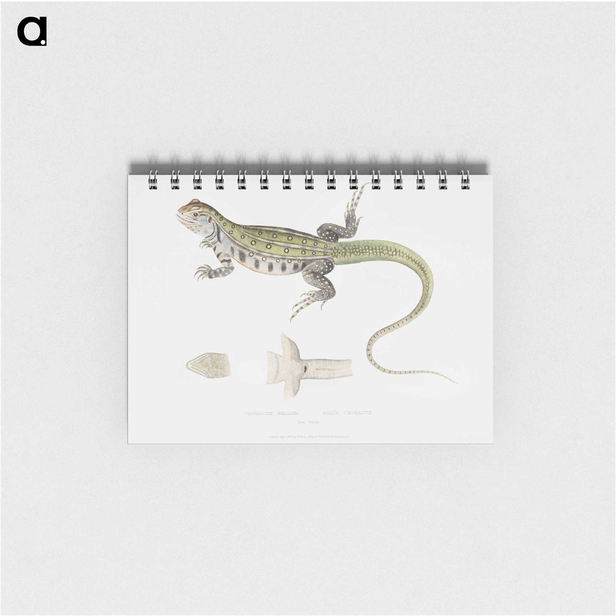 1-69_Indian-Zoology_memo