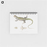 1-69_Indian-Zoology_memo