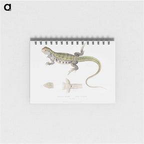 1-69_Indian-Zoology_memo