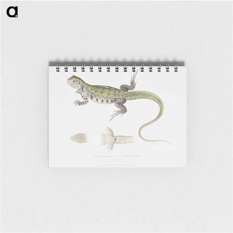 1-69_Indian-Zoology_memo