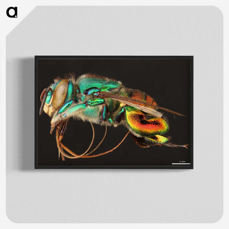 1-69_Insects-Unlocked-Project_blk-crop
