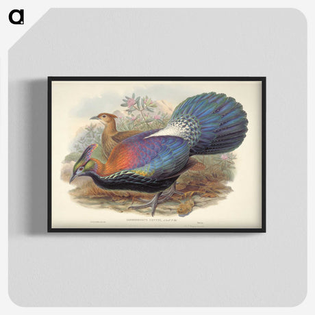 1-69_John-Gould_blk-crop