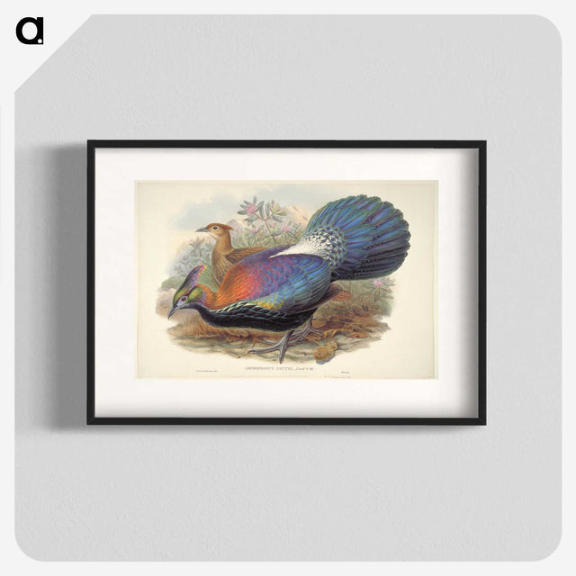 1-69_John-Gould_blk