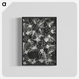 1-69_Karl-Blossfeldt_blk-crop
