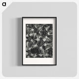 1-69_Karl-Blossfeldt_blk