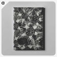 1-69_Karl-Blossfeldt_canvas