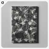 1-69_Karl-Blossfeldt_canvas