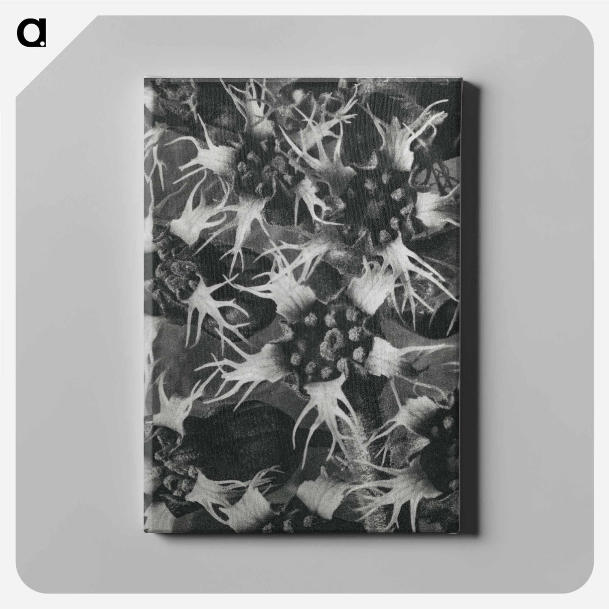 アートパネル-Tellima Grandiflora (Fringe Cups) - カール ブロスフェルト Canvas.
