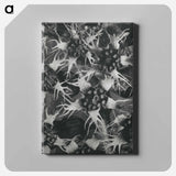 アートパネル-Tellima Grandiflora (Fringe Cups) - カール ブロスフェルト Canvas.