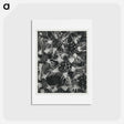 アートポストカード-Tellima Grandiflora (Fringe Cups) - カール ブロスフェルト Postcard.
