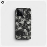 1-69_Karl-Blossfeldt_phone