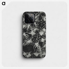 1-69_Karl-Blossfeldt_phone