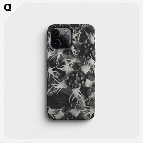1-69_Karl-Blossfeldt_phone