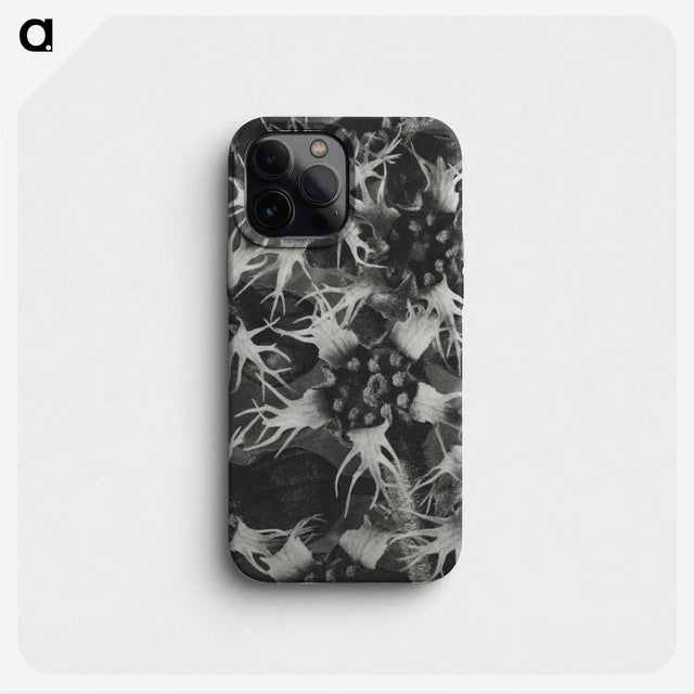 1-69_Karl-Blossfeldt_phone