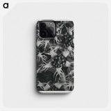 Tellima Grandiflora (Fringe Cups) - Karl Blossfeldt Phone Case.