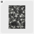 1-69_Karl-Blossfeldt_postcard