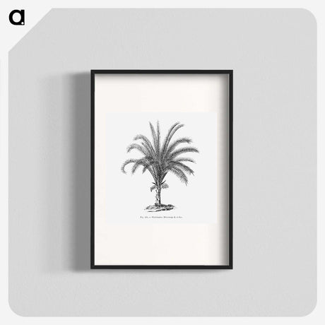 1-69_Les-Palmiers-Histoire-Iconographique_blk