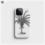 1-69_Les-Palmiers-Histoire-Iconographique_phone