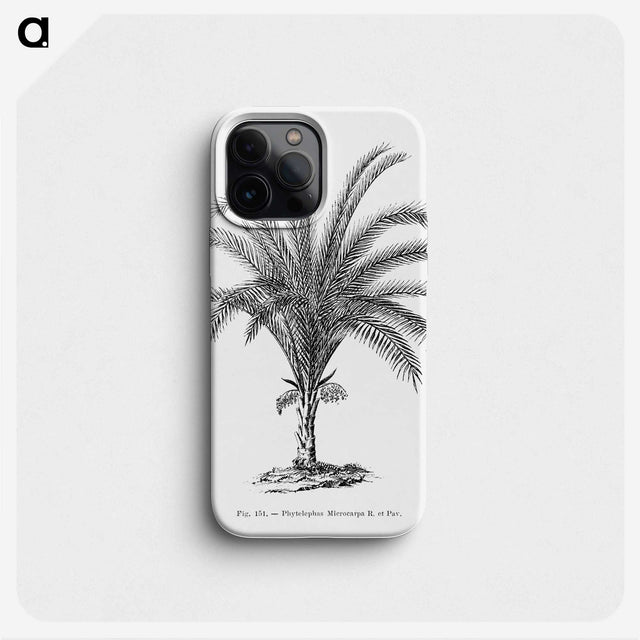 1-69_Les-Palmiers-Histoire-Iconographique_phone